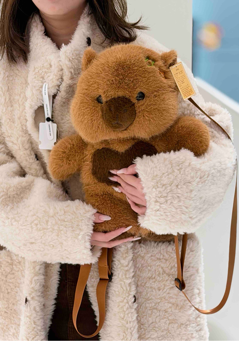 0206啵啵卡皮巴拉